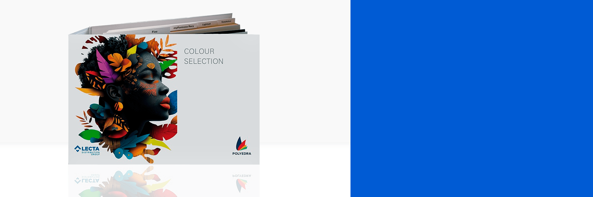 bd_colourSelection.png